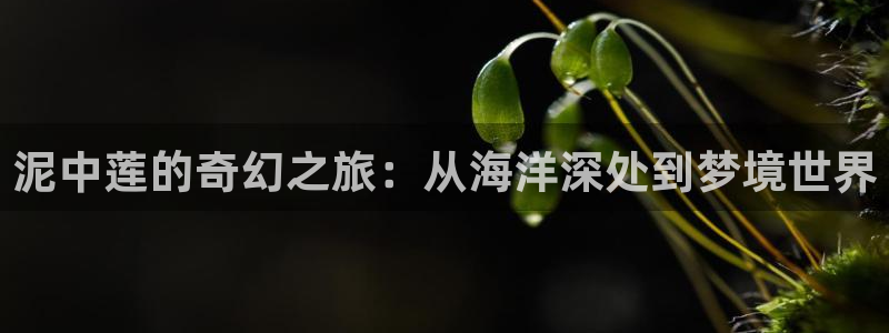 漫蛙manwa防走失：泥中莲的奇幻之旅：从海洋深处到梦境世界