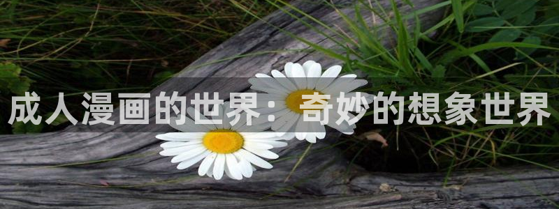 怎么注册漫蛙：成人漫画的世界：奇妙的想象世界