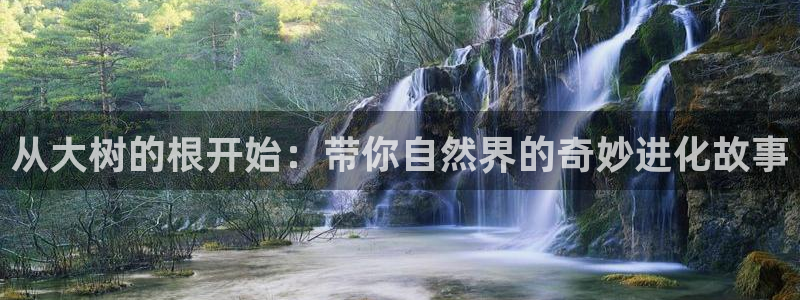 漫蛙成人：从大树的根开始：带你自然界的奇妙进化故事