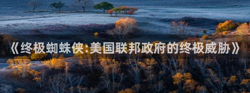 漫蛙2(这个绝对搜到)：《终极蜘蛛侠:美国联邦政府的终极威胁》