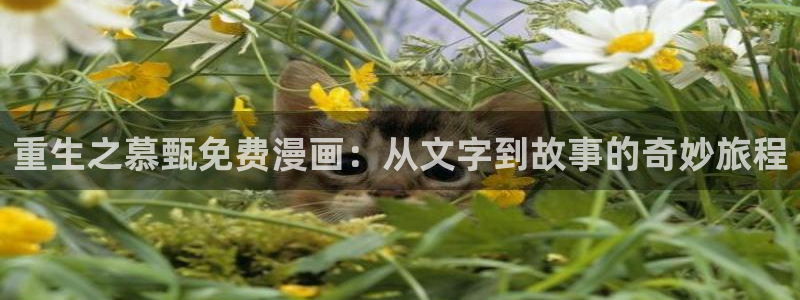 漫蛙漫画免费在线：重生之慕甄免费漫画：从文字到故事的奇妙旅程