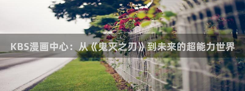 漫蛙manwa官网版免费：KBS漫画中心：从《鬼灭之刃》到未来的超能力世界