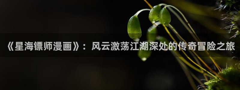 漫蛙manwa官网版在线观：《星海镖师漫画》：风云激荡江湖深处的传奇冒险之旅