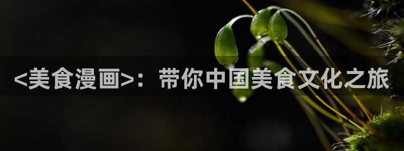 漫蛙22025：<美食漫画>：带你中国美食文化之旅