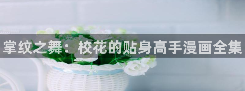漫蛙漫画网页入口免费：掌纹之舞：校花的贴身高手漫画全集