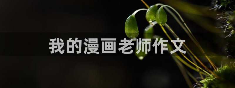 漫蛙漫画官方版正版：我的漫画老师作文