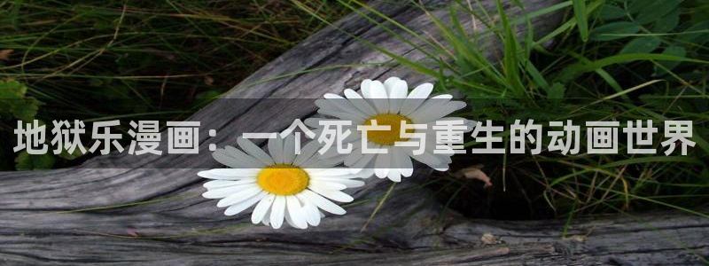 漫蛙1.1.8正版下载：地狱乐漫画：一个死亡与重生的动画世界