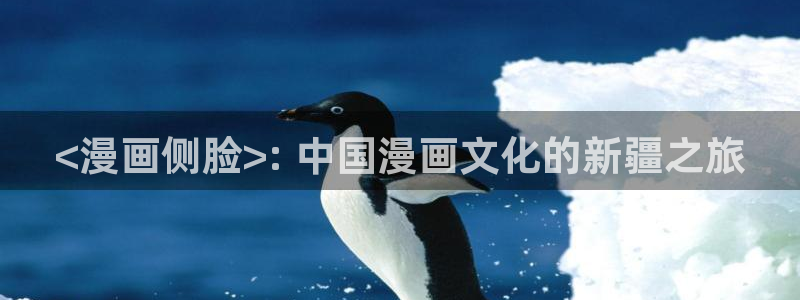 私密教学漫蛙：<漫画侧脸>: 中国漫画文化的新疆之旅