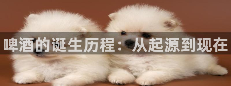 漫蛙manwa2旧版：啤酒的诞生历程：从起源到现在