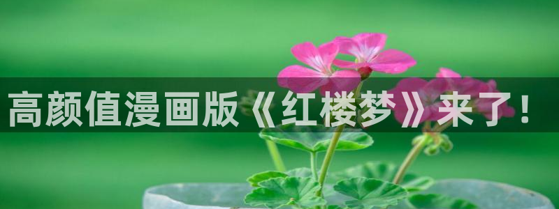 漫蛙漫画网页链接：高颜值漫画版《红楼梦》来了！