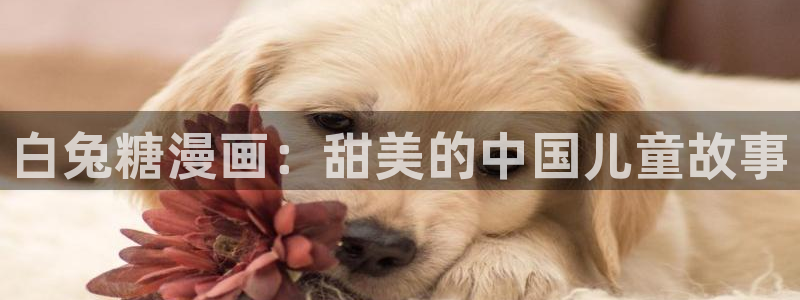 漫蛙正版下载安装：白兔糖漫画：甜美的中国儿童故事
